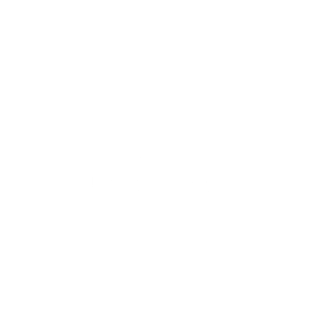 Brand logo 2